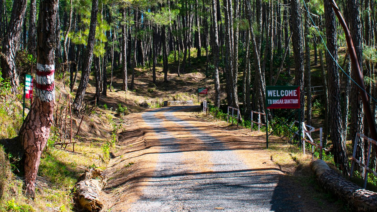 binsar-wildlife-sanctuary-almora-uttarakhand-attr-hero