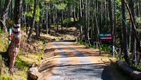 binsar-wildlife-sanctuary-almora-uttarakhand-attr-hero