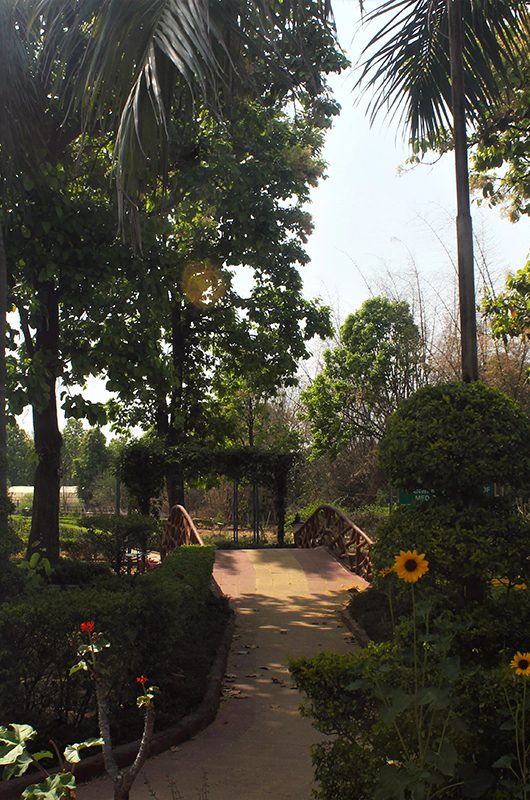 biodiversity-park-ranchi-jharkhand-1-attr-nearby