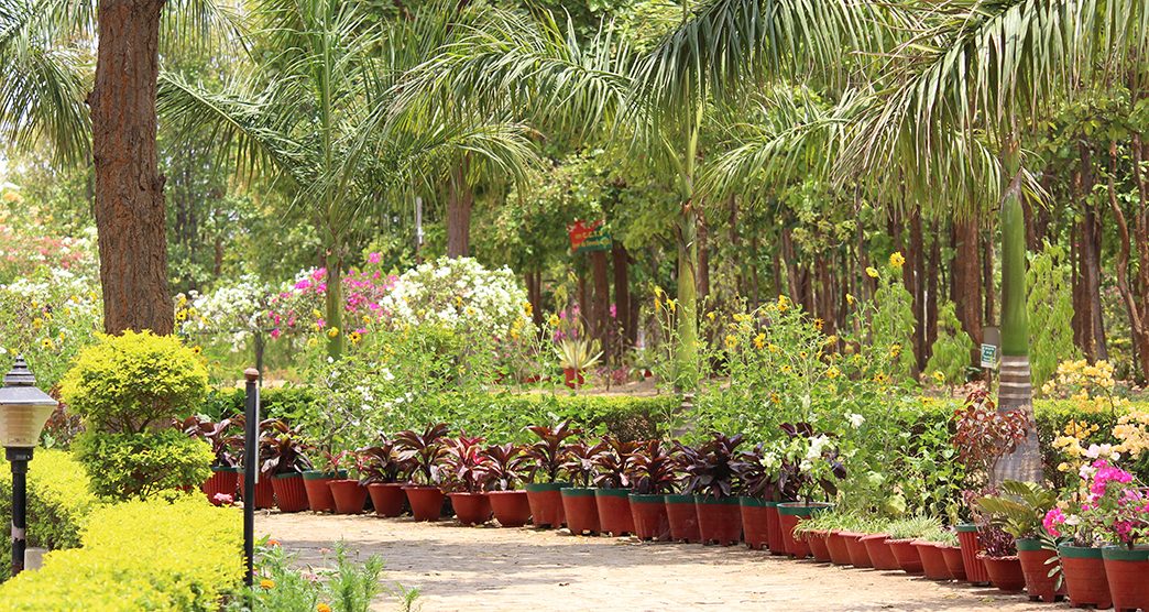 beautiful biodiversity park suited in ranchi .