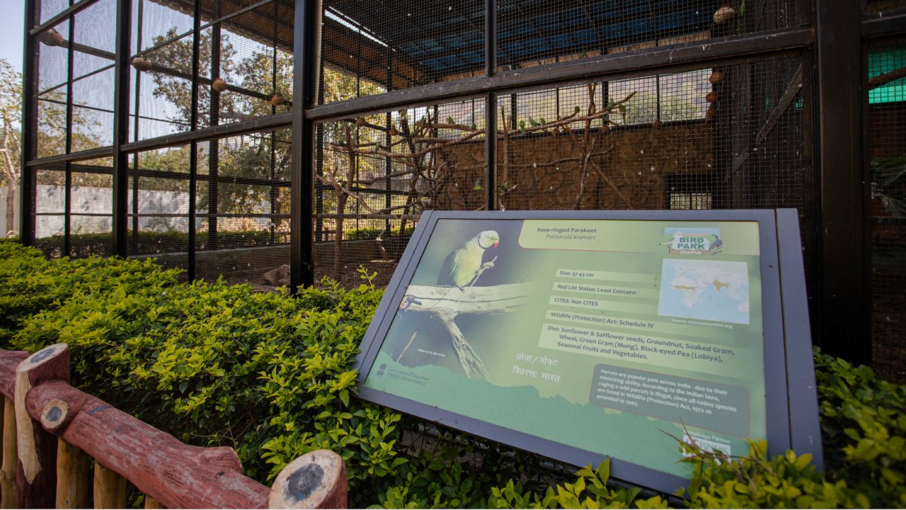 bird-park-at-gulab-bagh-udaipur-rajasthan-2-musthead-hero