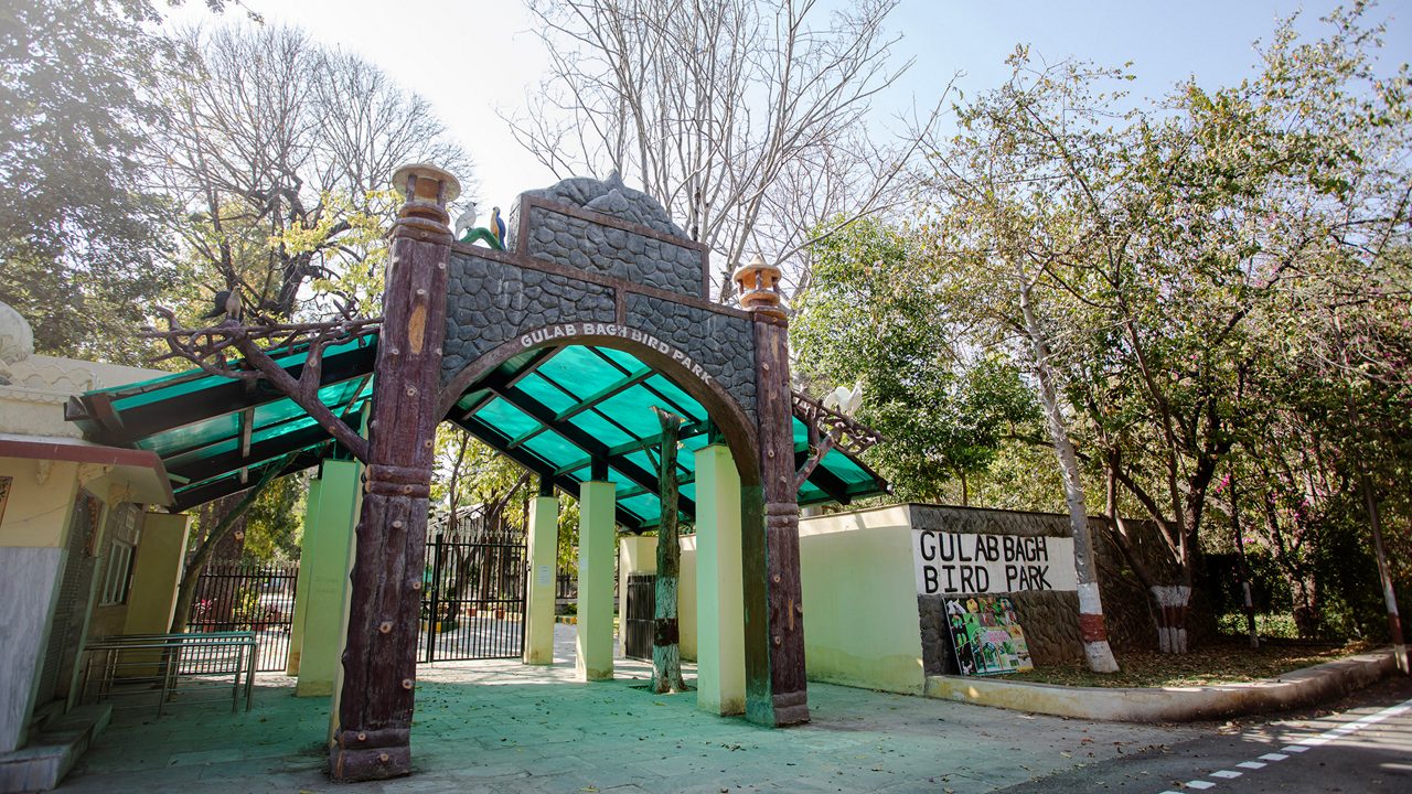 bird-park-at-gulab-bagh-udaipur-rajasthan-3-musthead-hero