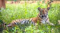 birsa-zoological-park-ranchi-jharkhand-1-new-attr-hero