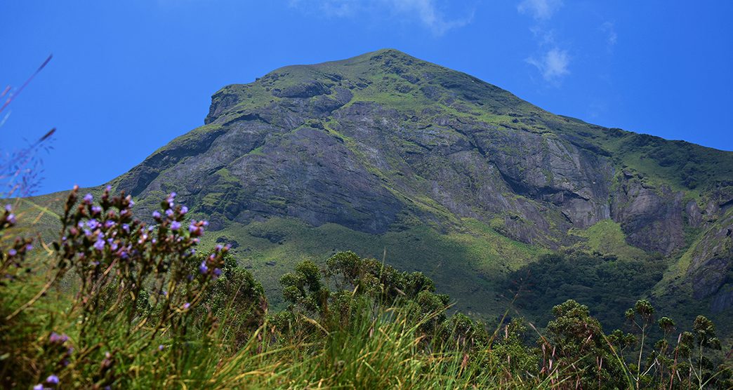 "Anamudi Peak of Eravikulam National Park, Munnar, Kerala, South India"