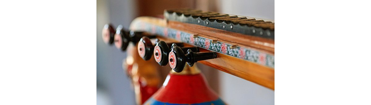 Bobbili Veena: Andhra Pradesh's musical treasure