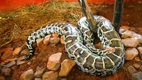 bondla-wildlife-santuary-goa-1-musthead-hero