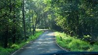 bondla-wildlife-santuary-goa-goa-bondla-wildlife-sactuary-2-attr-hero