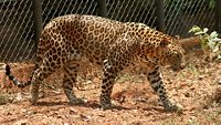 bondla-wildlife-santuary-goa-goa-bondla-wildlife-sactuary-3-attr-hero