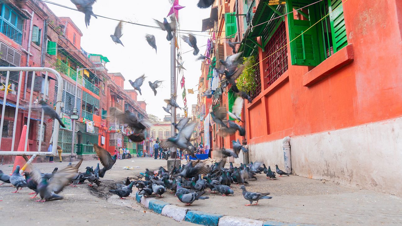 Exploring Kolkata- Bow Barracks' Cultural Legacy | Incredible India