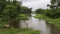 brahmaputra-river-assam-tri-hero