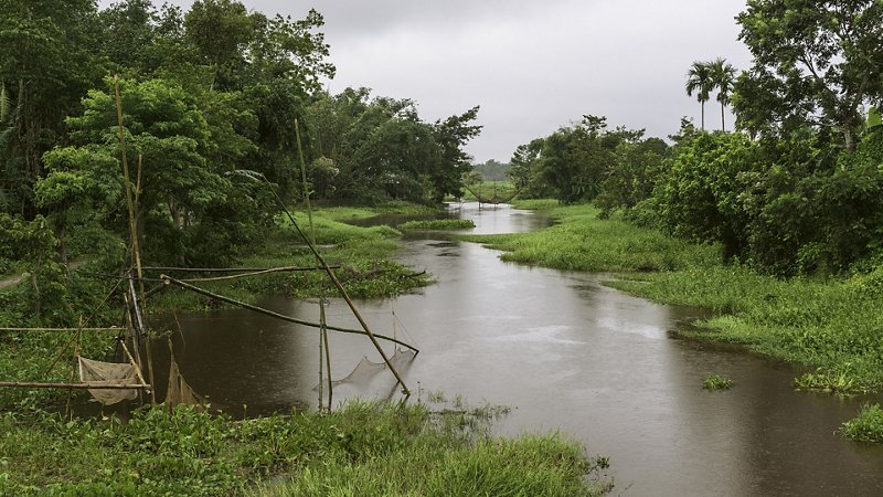 A six-night and seven-day tour around the tea country, Assam