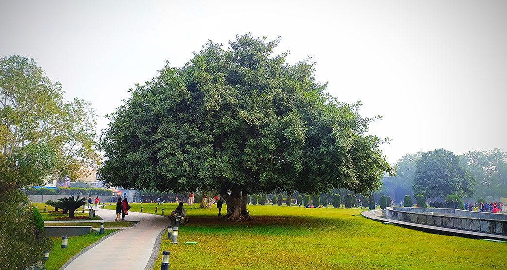 Buddha-Smriti-Park