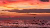 calangute-beach-goa-4-musthead-hero