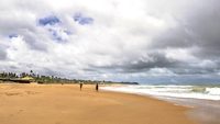 Calangute beach is the largest in North Goa, located on the shores of the Arabian Sea.