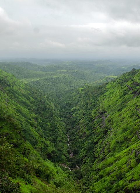 camel-valley-igatpuri-maharashtra-1-city-homepage