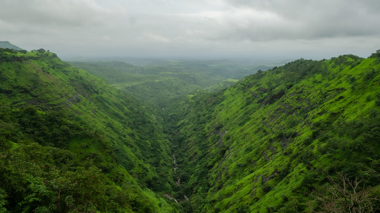 camel-valley-igatpuri-maharashtra-attr-hero