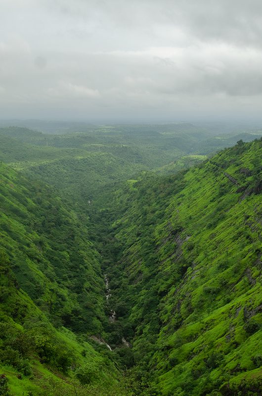 camel-valley-igatpuri-maharashtra-attr-nearby