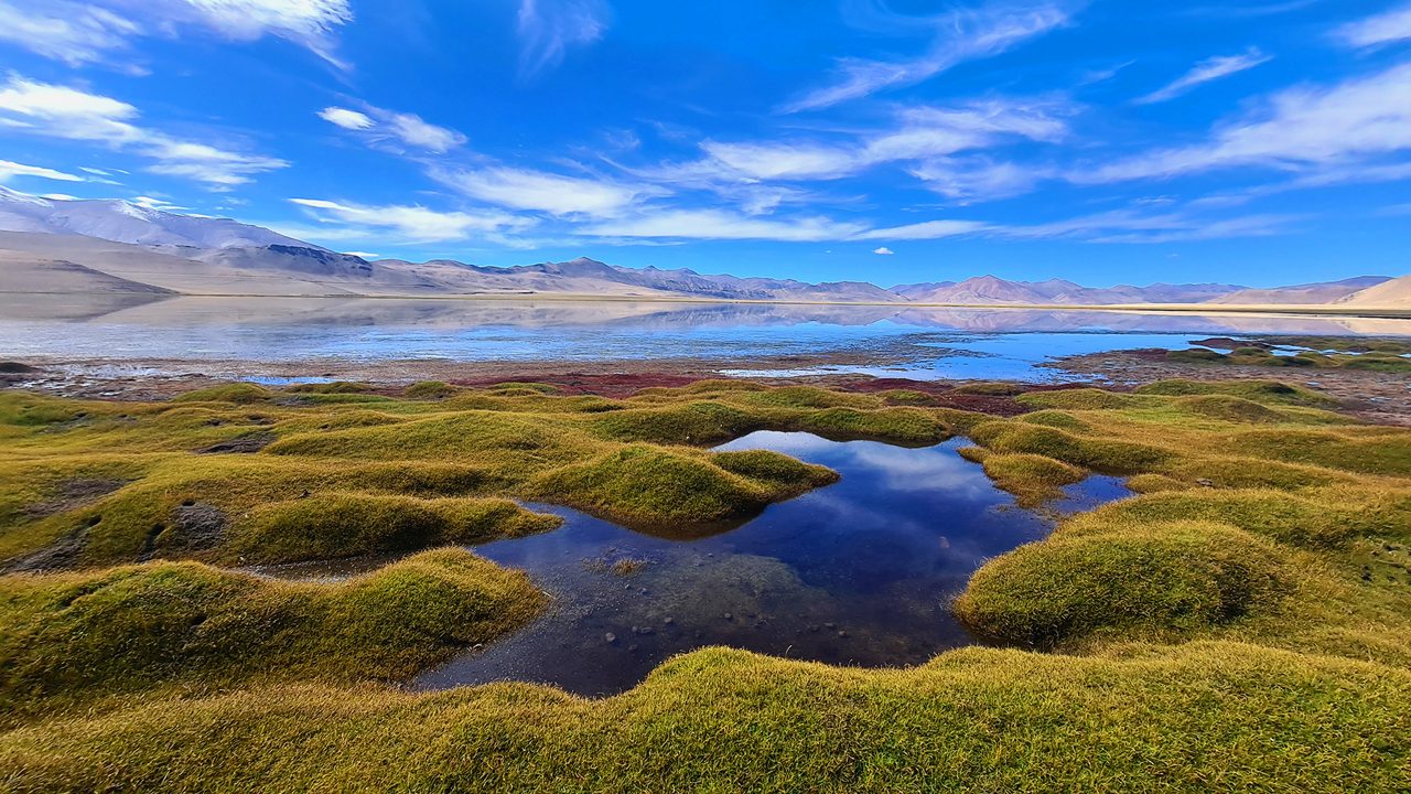 changthang-wildlife-sanctuary-leh-ladakh-1-new-attr-hero