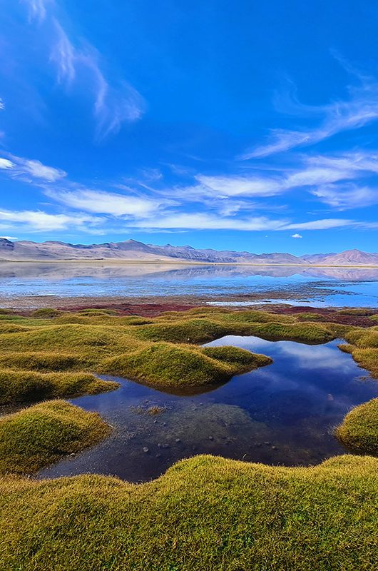 changthang-wildlife-sanctuary-leh-ladakh-1-new-attr-nearby
