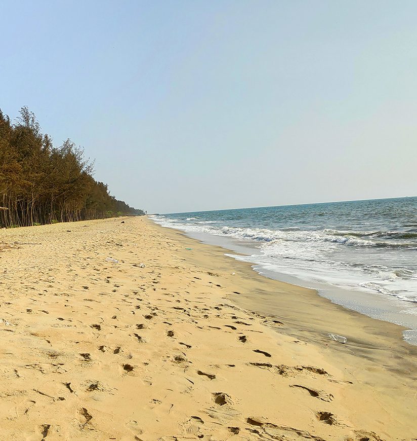 cherai beach view in sunny day