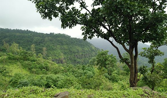 The photo taken at the Chikhaldara hill station by Saurav L Chaudhari