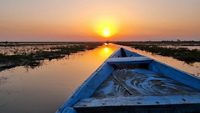 Sunset view from a boat in Mangalajodi Chilika Lake Odisha India. Chilika is one of the largest and most beautiful lakes in India.