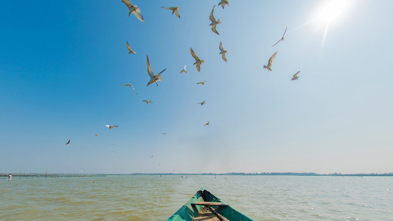 chilika-wildlife-sanctuary-puri-odisha-2-attr-hero