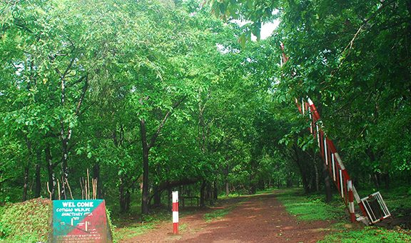 cotigao-wild-life-sanctury-entrance