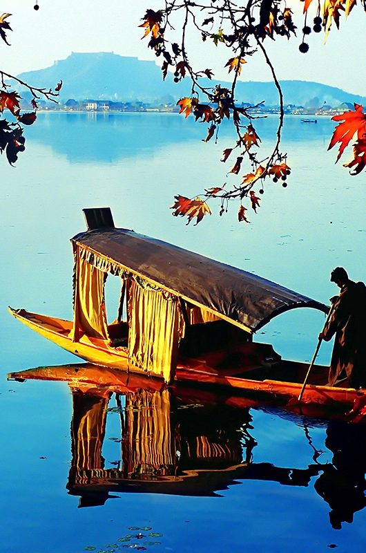 dal-lake-srinagar-jammu---kashmir-1-attr-nearby