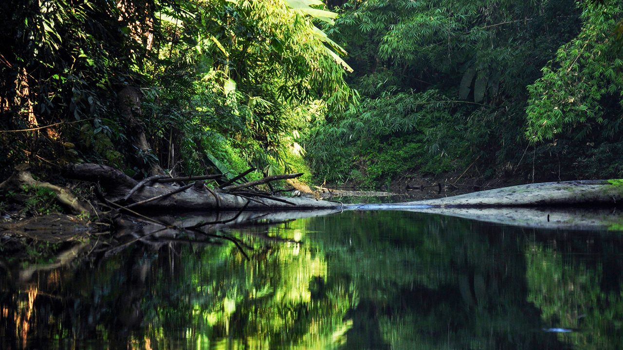 dampa-tiger-reserve-aizawl-mizoram-dampa-1-attr-hero