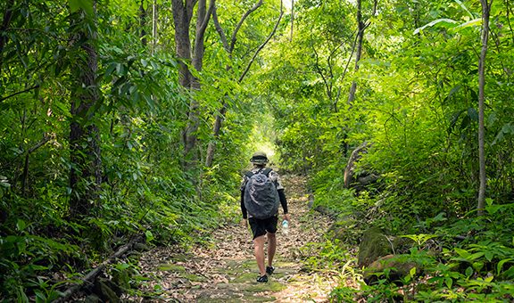 davidscott-trail-rural-activity.jpg