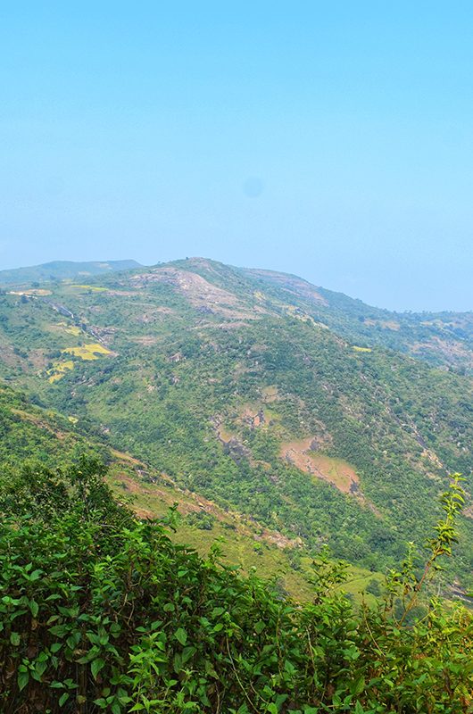 Deomali mountain range morning view from Koraput, India