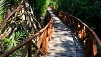 Dhani Nallah is a nature walkway and beach on the outskirts of Rangat, Middle Andaman Island, in the Andaman Islands. It is a 700 m wooden boardwalk through Mangroves. 