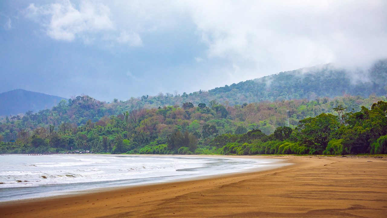 dhani-nallah-mangrove-nature-walkway-rangat-andaman-nicobar-islands-2-attr-hero.jpg