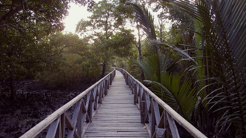 Go on Rangat retreat: 4-day tropical sojourn