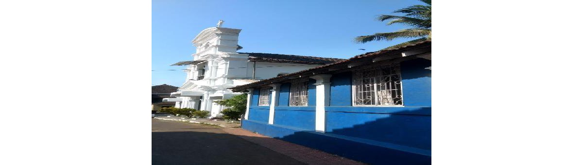 Discovering Goa differently