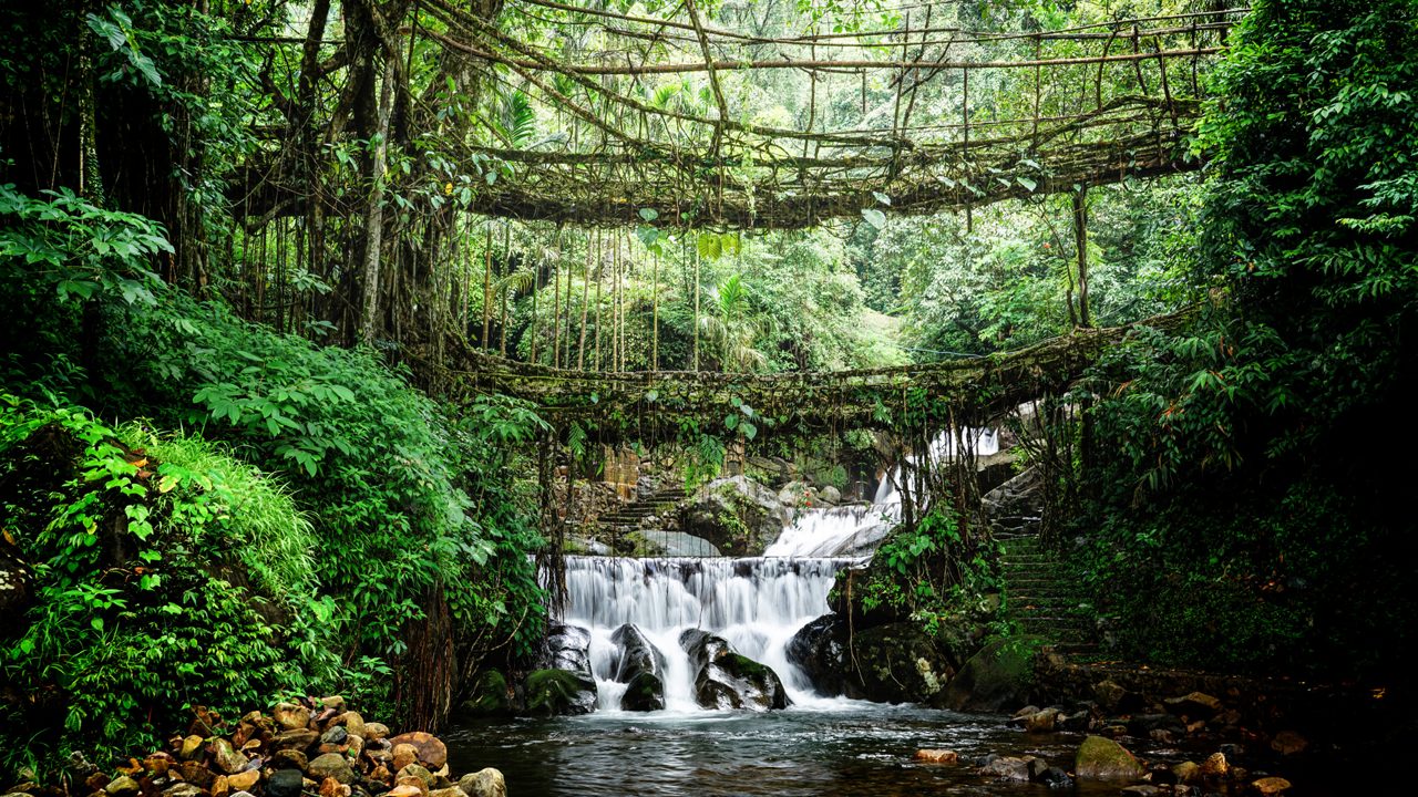 double-decker-living-root-bridge-cherrapunjee-meghalaya-1-attr-hero