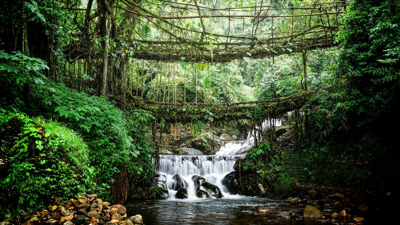 double-decker-living-root-bridge-cherrapunjee-meghalaya-1-blog-adv-hero