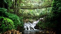 double-decker-living-root-bridge-cherrapunjee-meghalaya-1-blog-adv-hero