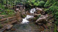 Beautiful Natural Double Decker Living Root Bridge.