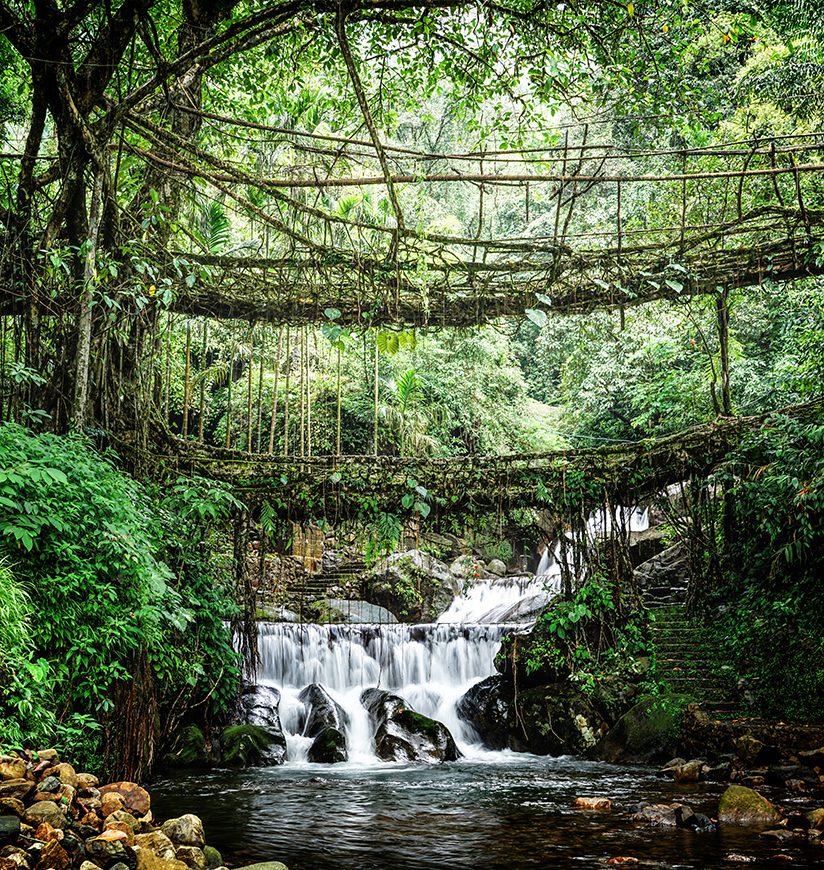 double-decker-living-root-bridge-cherrapunjee-meghalaya-city-ff