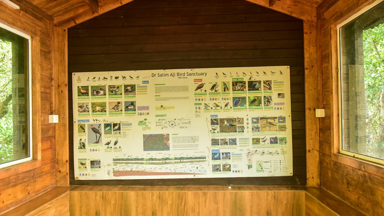 dr-salim-ali-bird-sanctuary-goa-2-musthead-hero