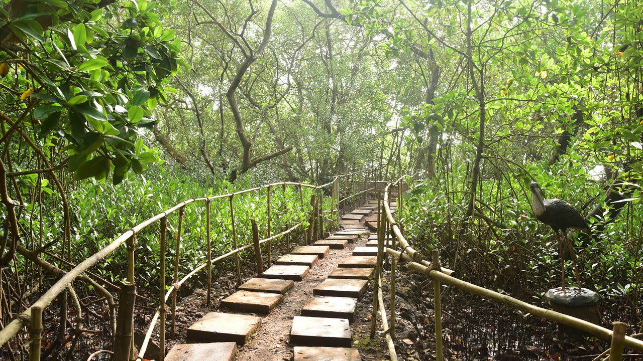 dr-salim-ali-bird-sanctuary-goa-goa-1-attr-hero