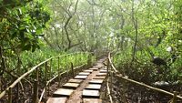dr-salim-ali-bird-sanctuary-goa-goa-1-attr-hero