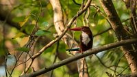 dr-salim-ali-bird-sanctuary-goa-goa-2-attr-hero