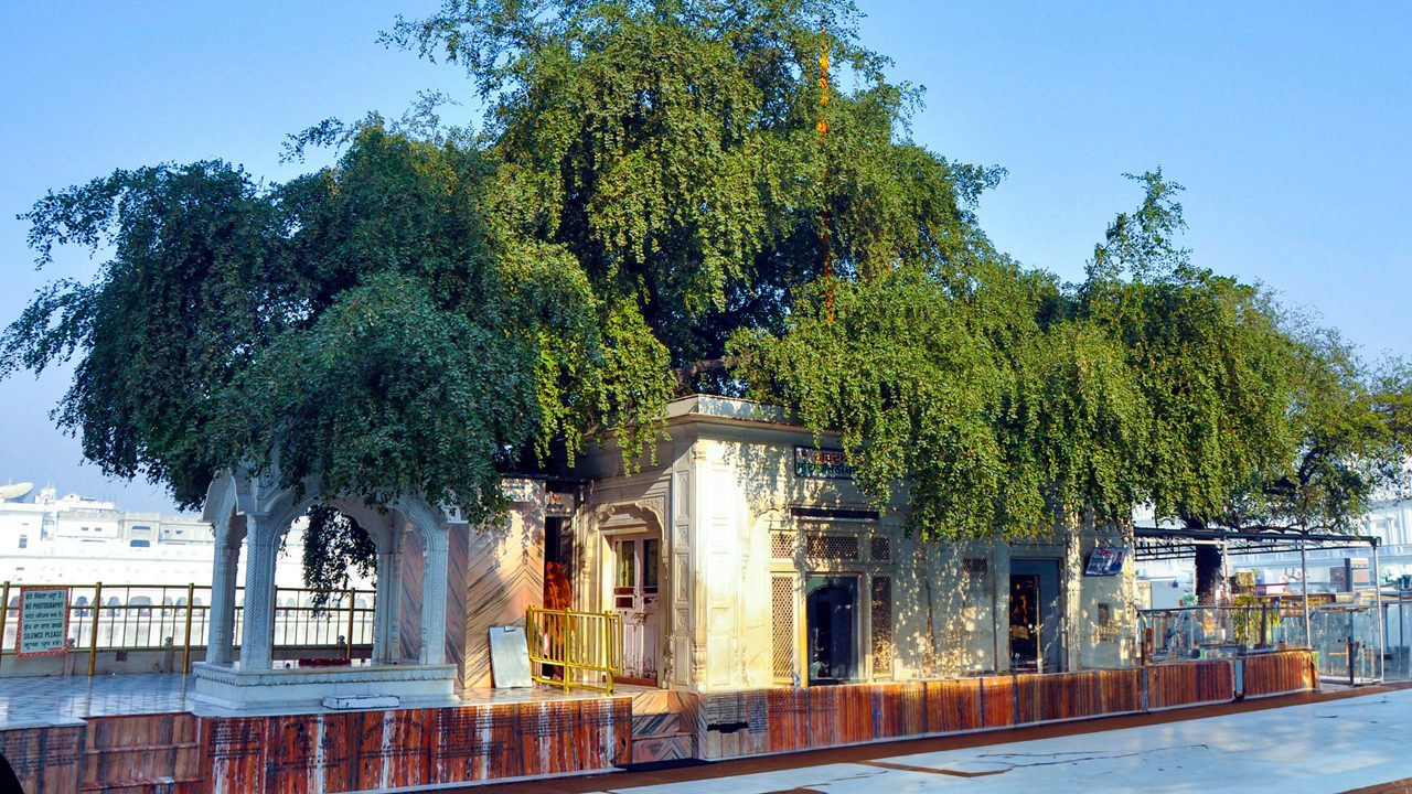 dukh-bhanjani-ber-tree-amritsar-punjab-5-musthead-hero