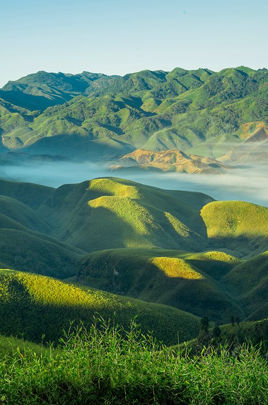 Sunkissed Dzukou Valley, Nagaland, India