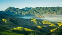 Sunkissed Dzukou Valley, Nagaland, India