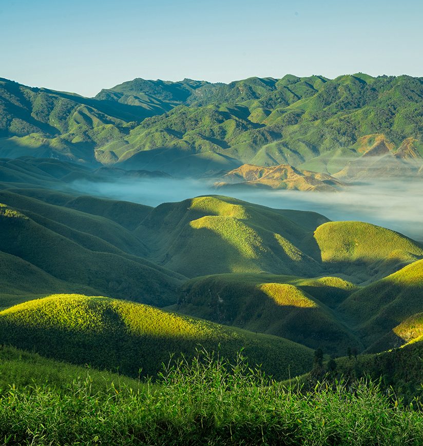 Sunkissed Dzukou Valley, Nagaland, India