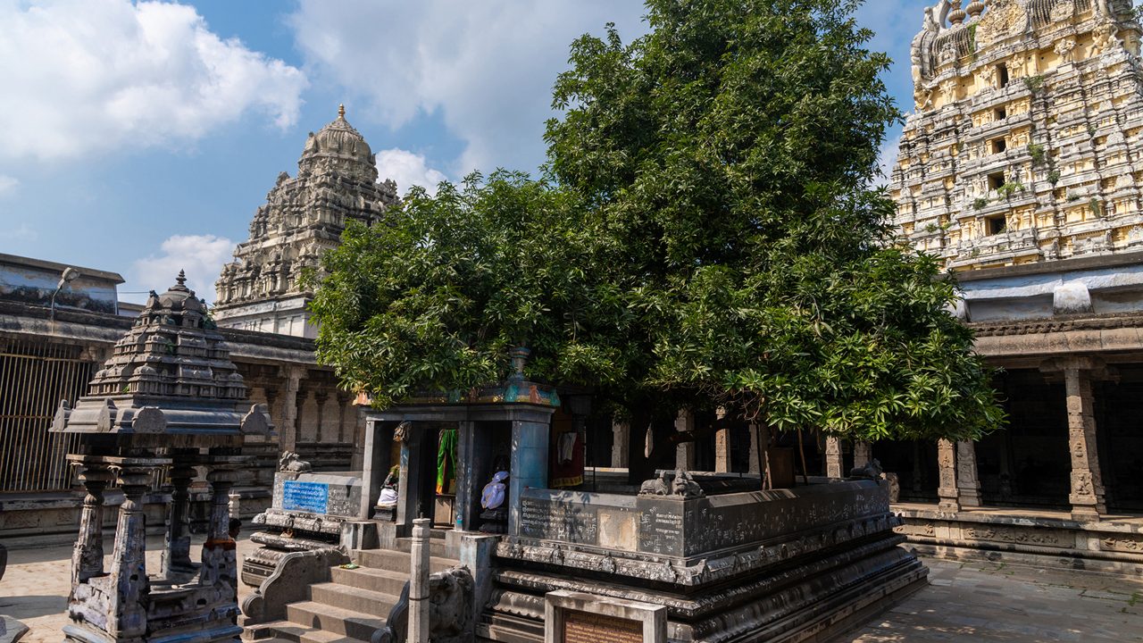 ekambareswarar-temple-kanchipuram-tamil-nadu-1-attr-hero